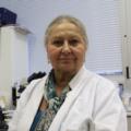 KOLUMNA DR. LJILJANE RAKIĆ: Šiljati  kondilomi